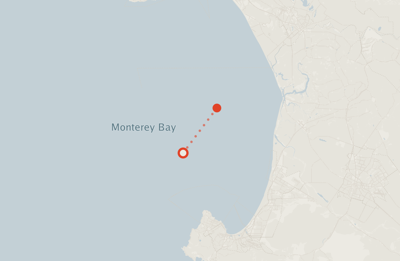 Activity map — real sighting points on an OpenStreetMap basemap