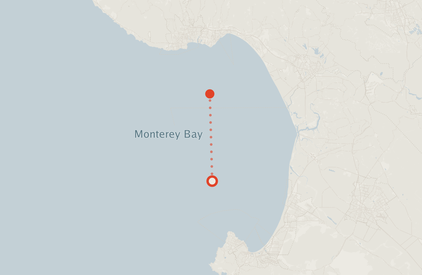 Activity map — real sighting points on an OpenStreetMap basemap