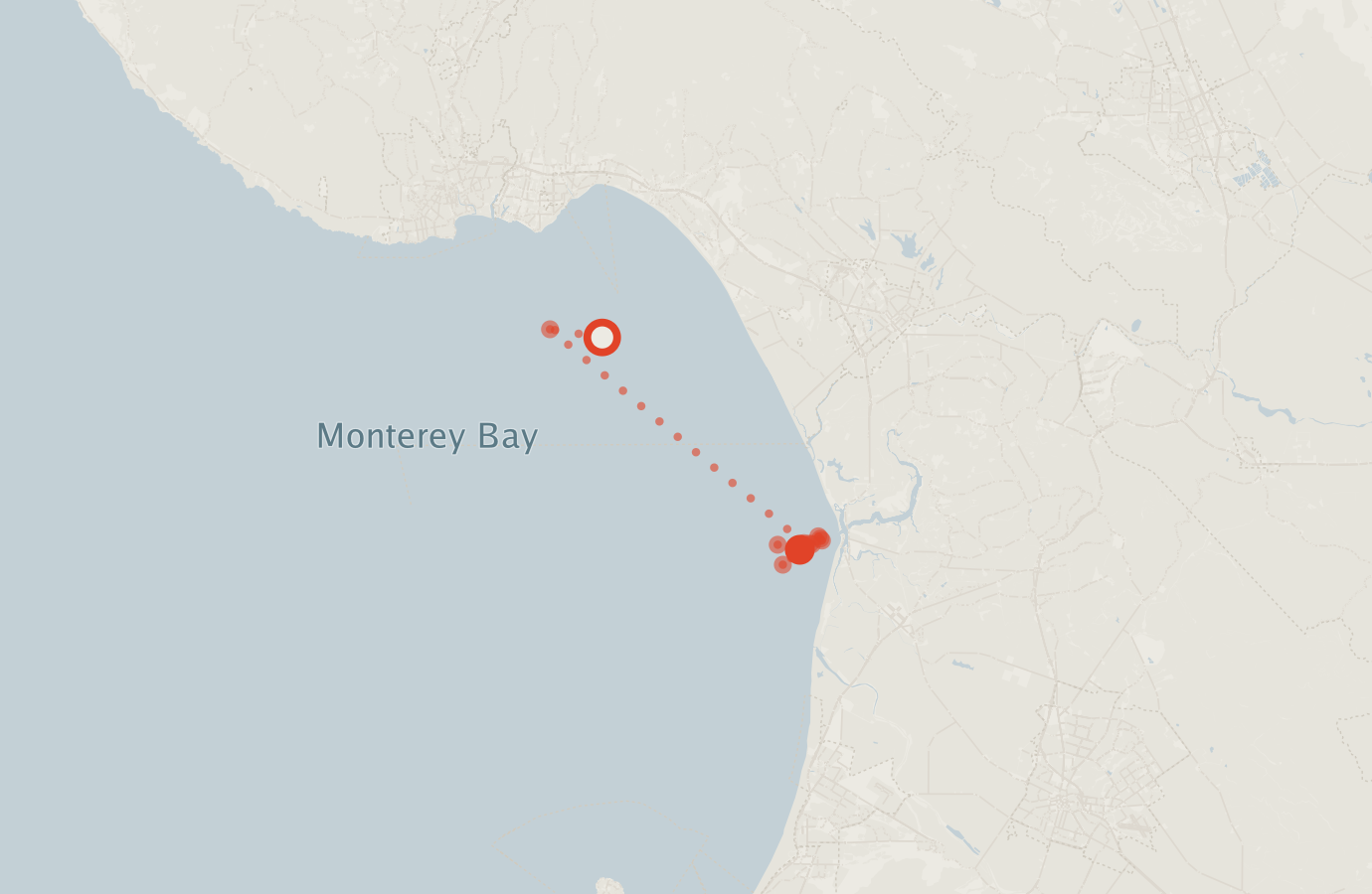 Activity map — real sighting points on an OpenStreetMap basemap