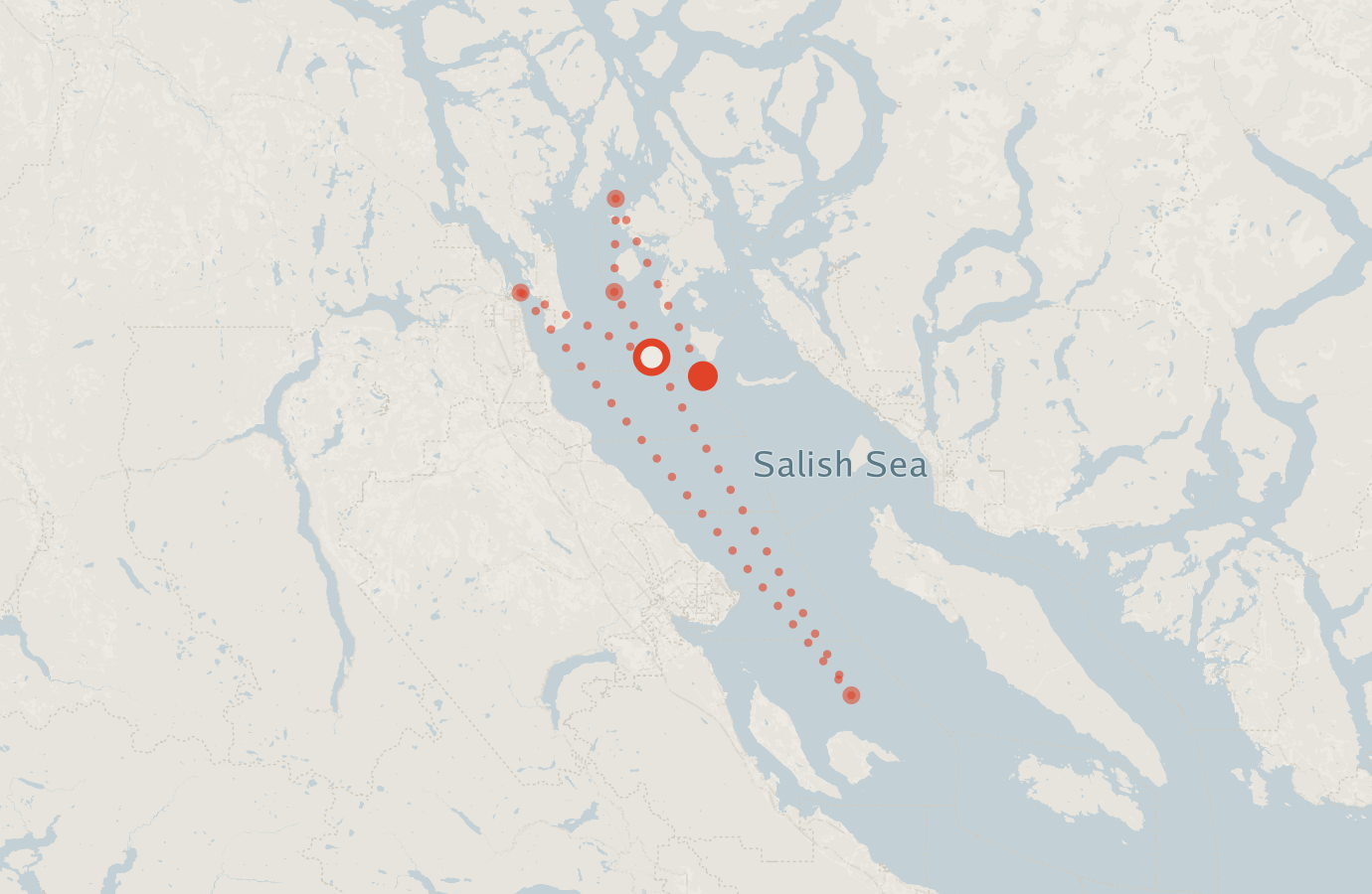 Activity map — real sighting points on an OpenStreetMap basemap