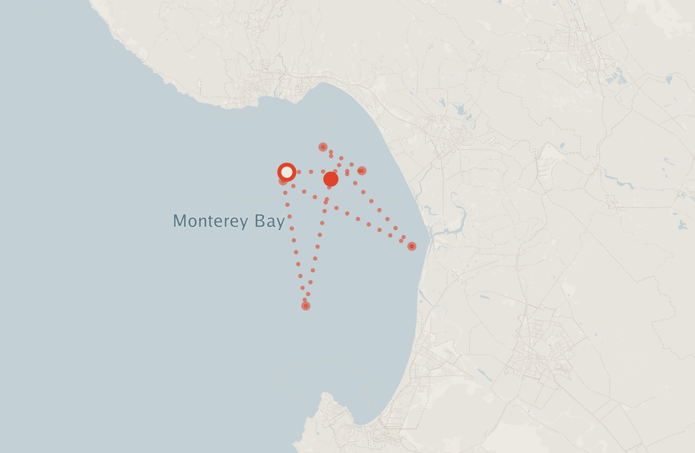 Activity map — real sighting points on an OpenStreetMap basemap