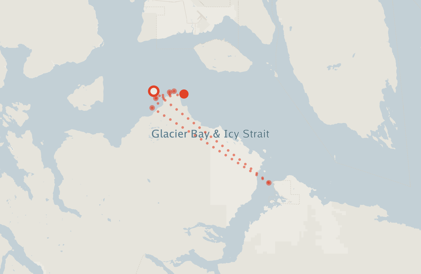 Activity map — real sighting points on an OpenStreetMap basemap