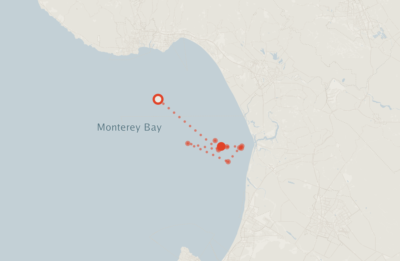 Activity map — real sighting points on an OpenStreetMap basemap