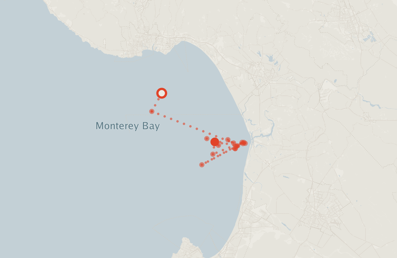 Activity map — real sighting points on an OpenStreetMap basemap