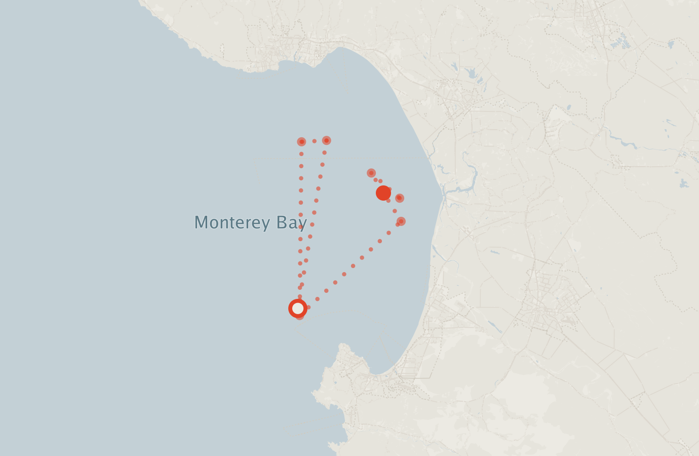 Activity map — real sighting points on an OpenStreetMap basemap