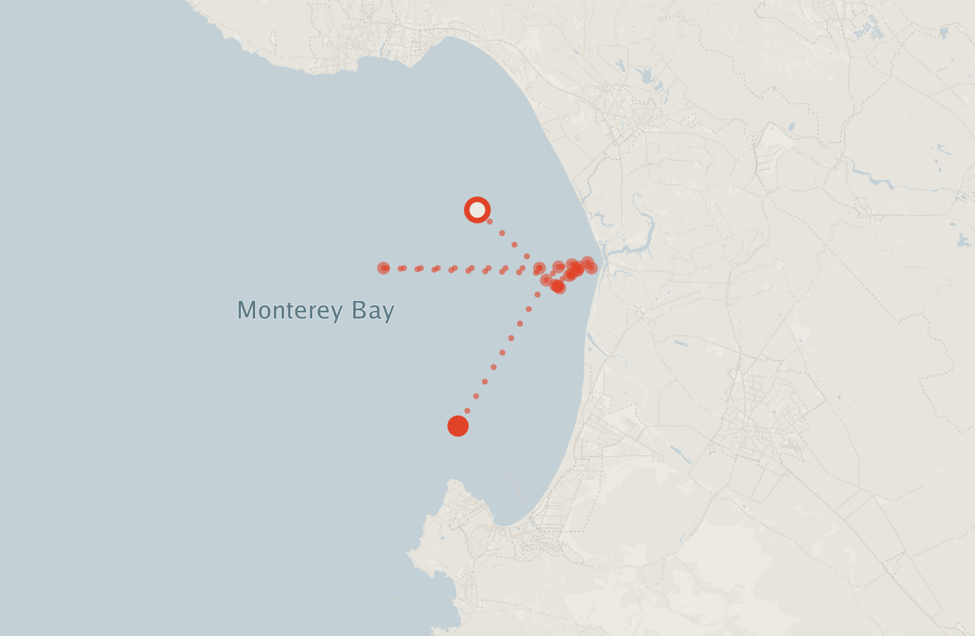 Activity map — real sighting points on an OpenStreetMap basemap