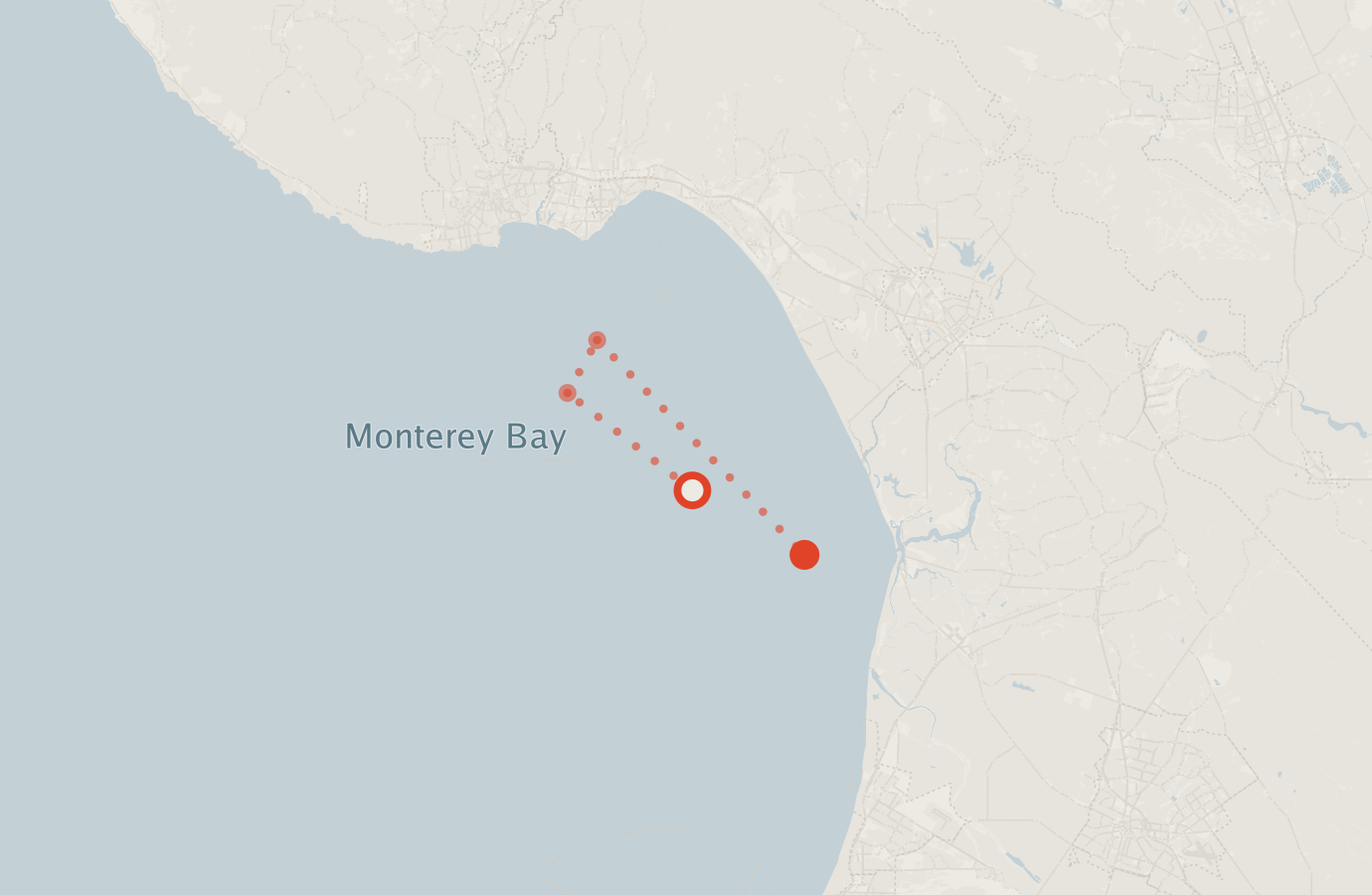 Activity map — real sighting points on an OpenStreetMap basemap