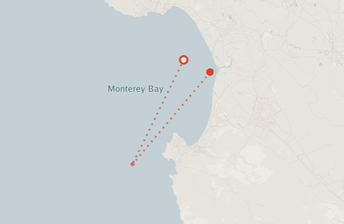 Activity map — real sighting points on an OpenStreetMap basemap