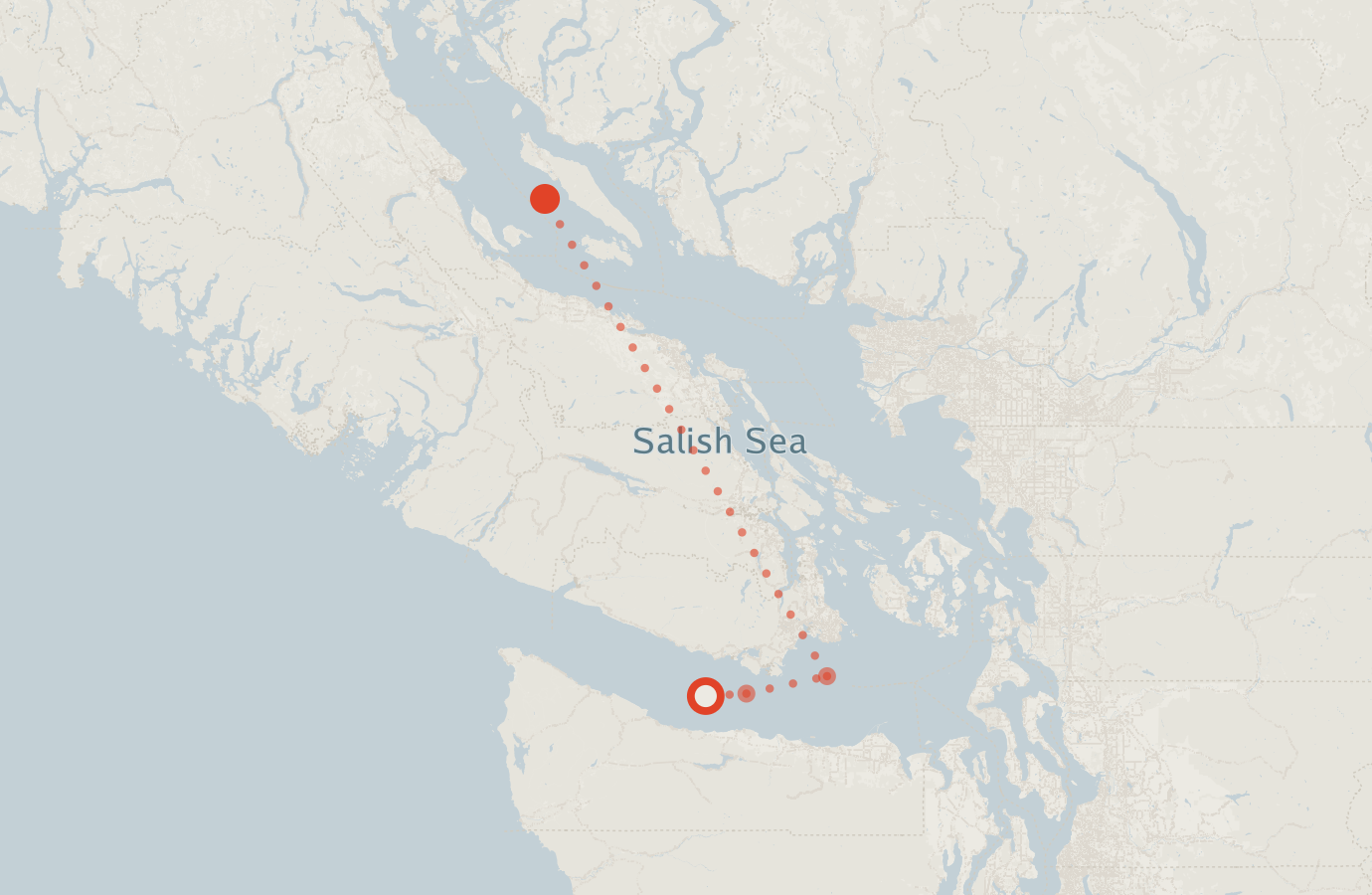 Activity map — real sighting points on an OpenStreetMap basemap