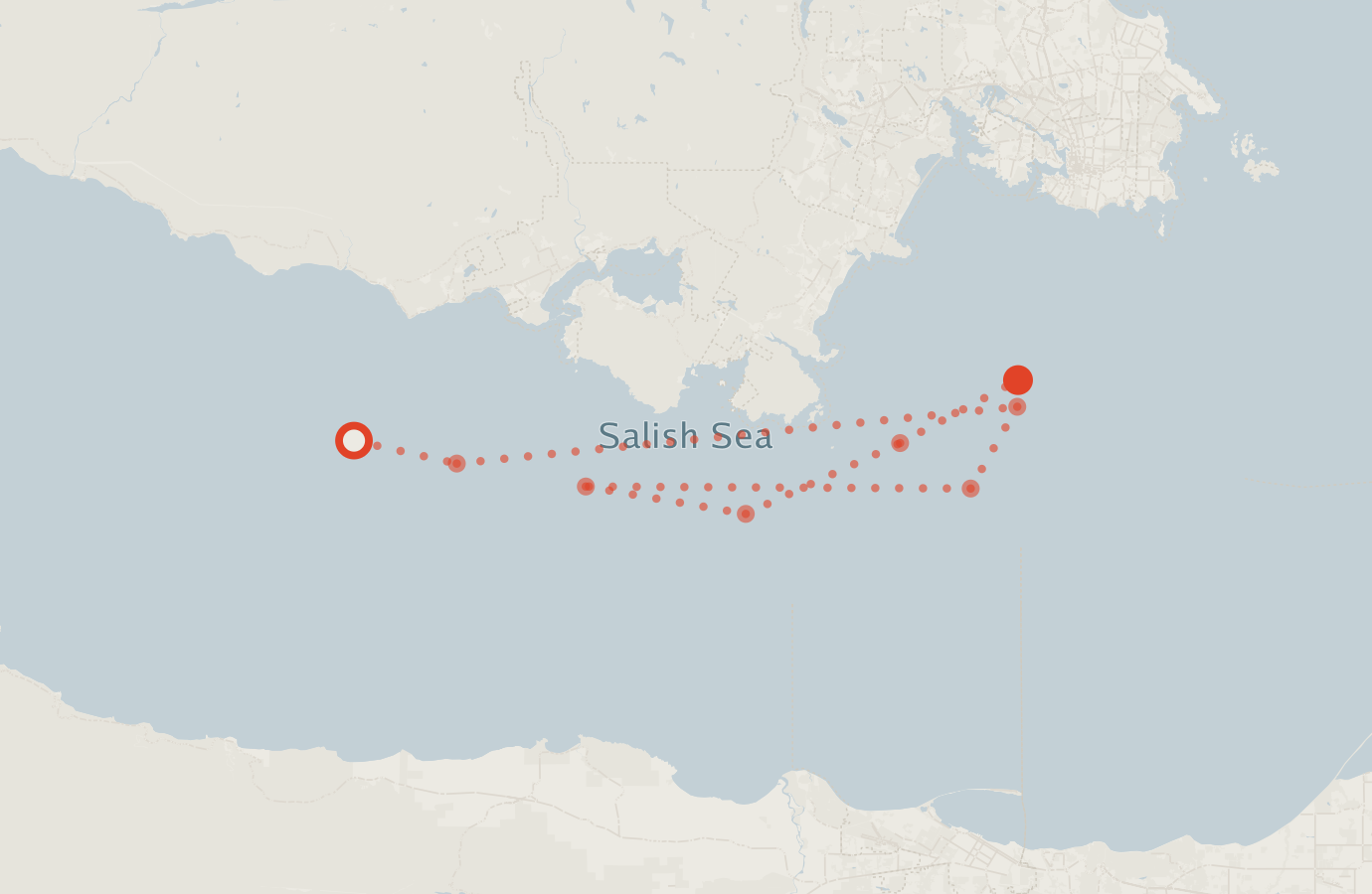 Activity map — real sighting points on an OpenStreetMap basemap