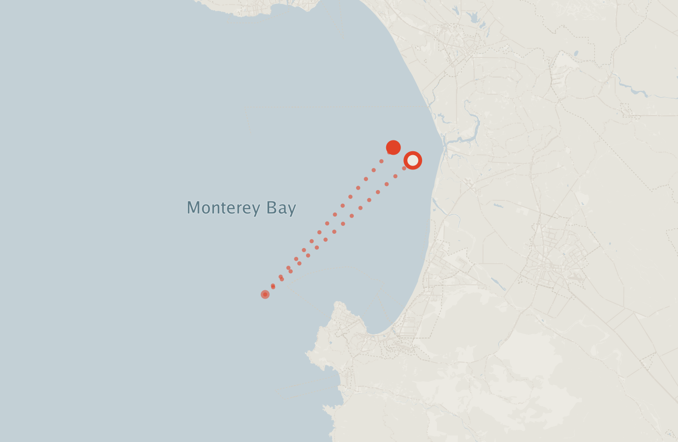 Activity map — real sighting points on an OpenStreetMap basemap