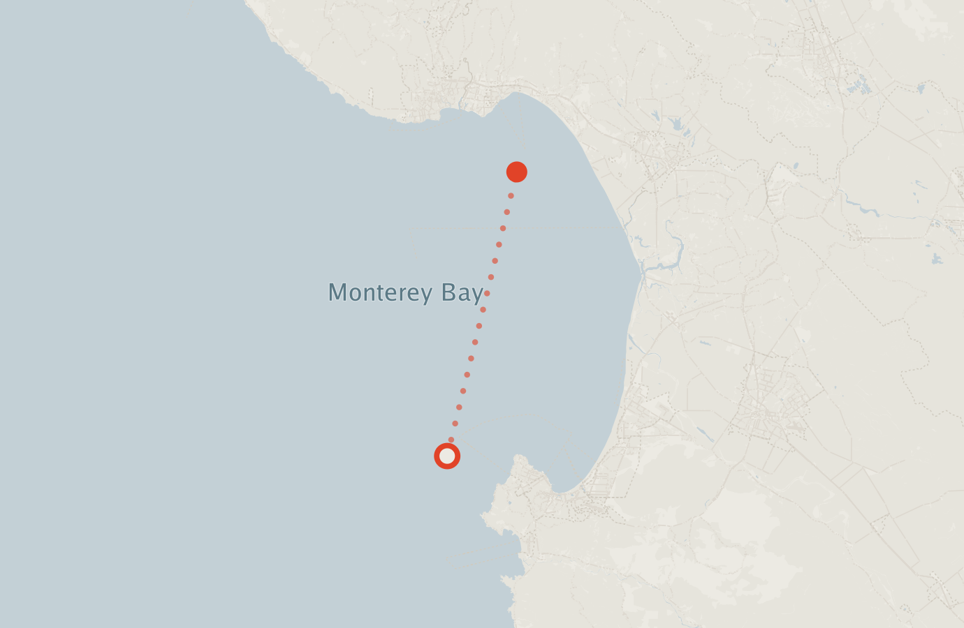 Activity map — real sighting points on an OpenStreetMap basemap