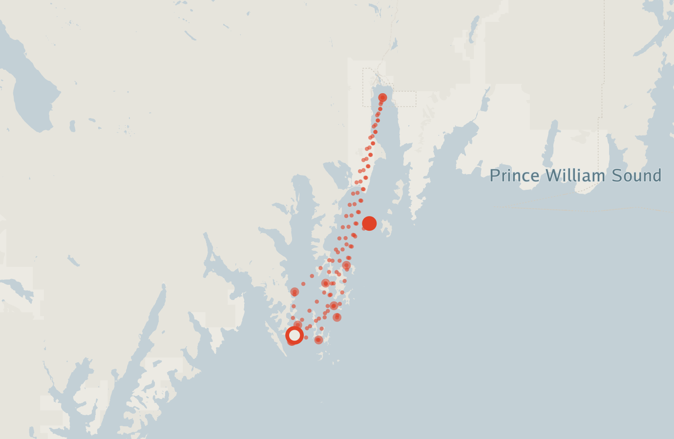 Activity map — real sighting points on an OpenStreetMap basemap