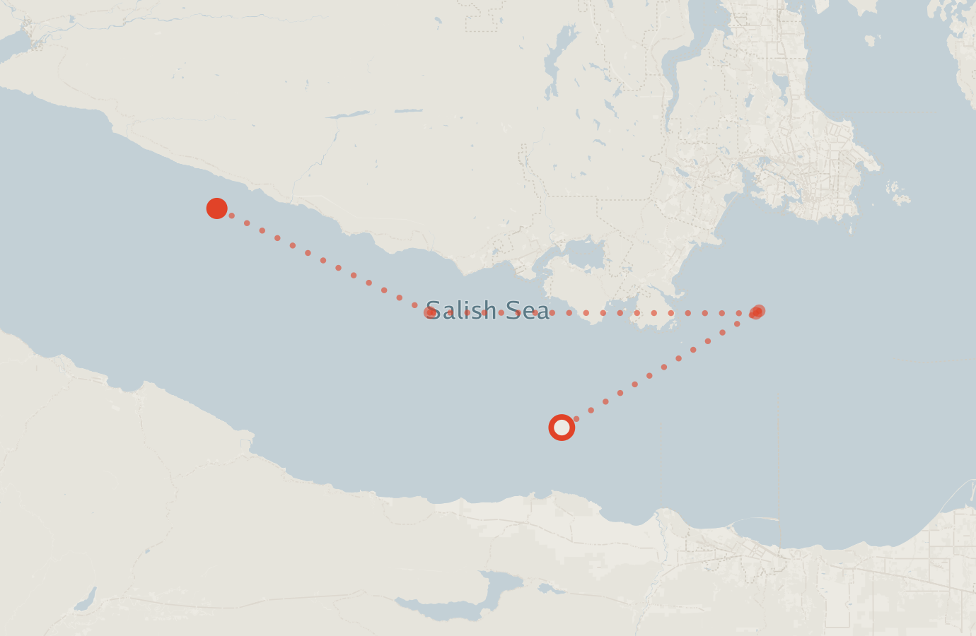 Activity map — real sighting points on an OpenStreetMap basemap