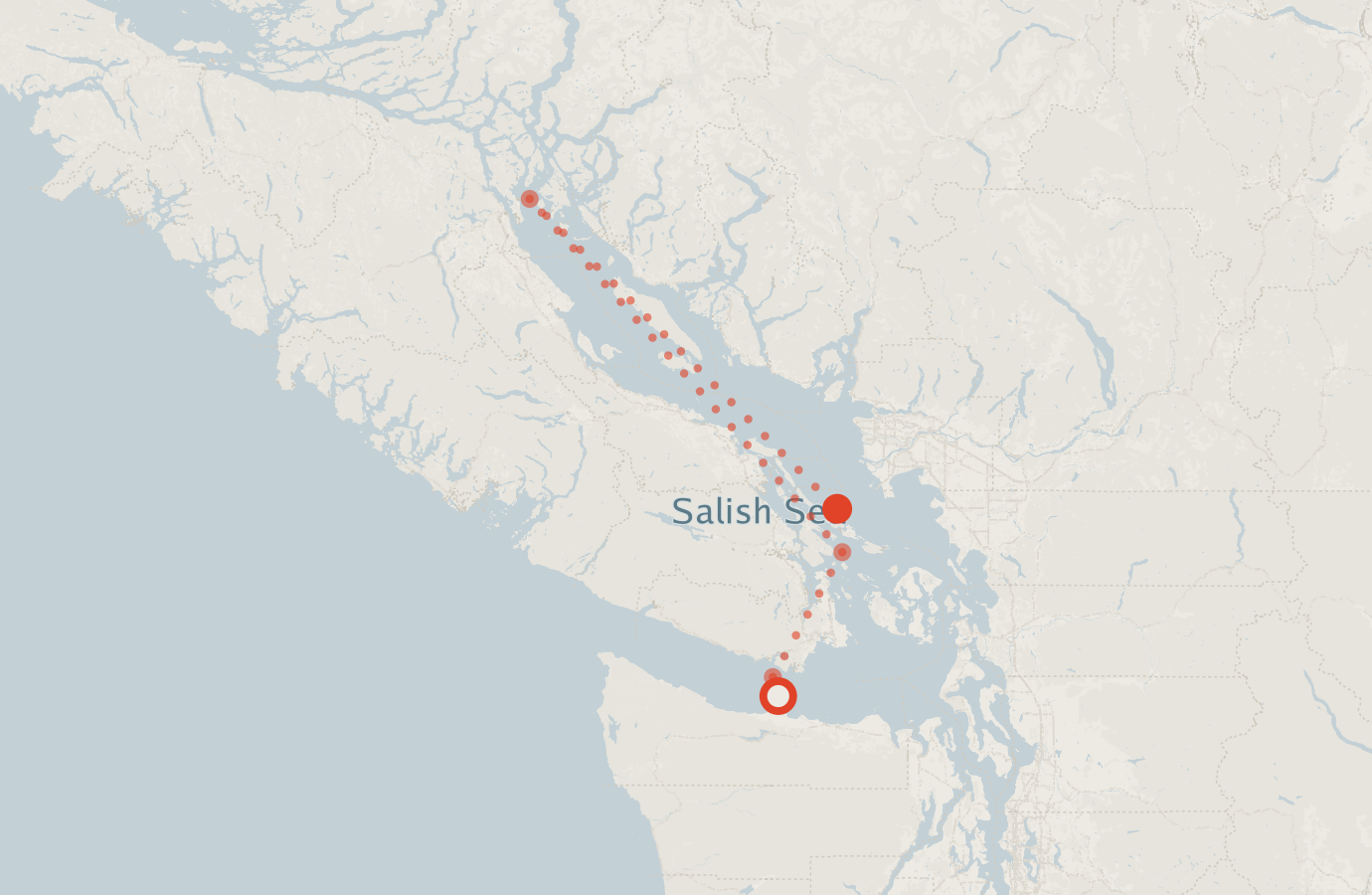 Activity map — real sighting points on an OpenStreetMap basemap