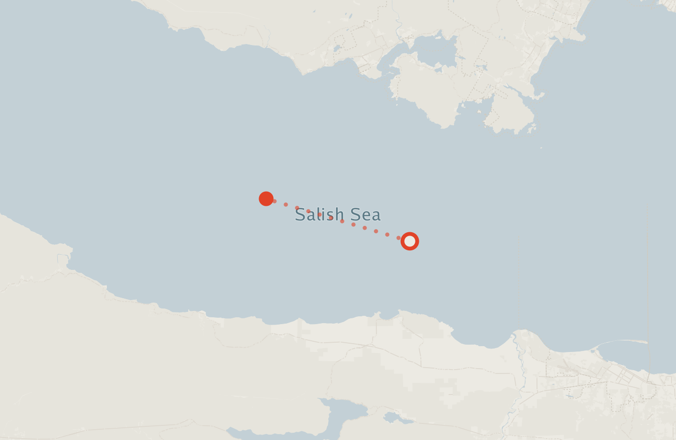 Activity map — real sighting points on an OpenStreetMap basemap