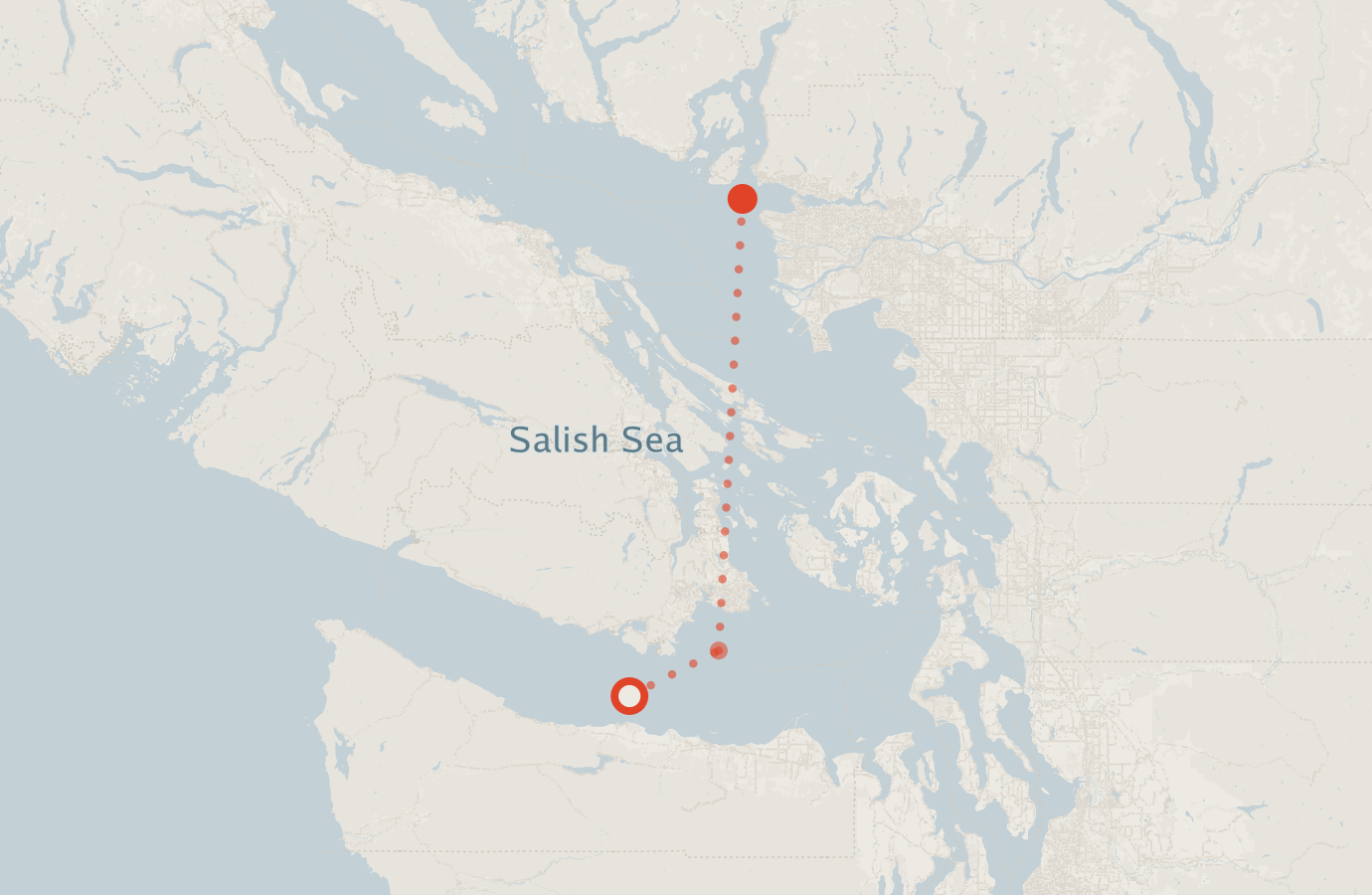 Activity map — real sighting points on an OpenStreetMap basemap