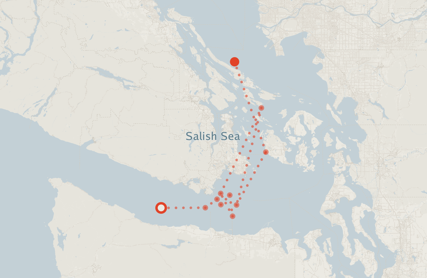 Activity map — real sighting points on an OpenStreetMap basemap