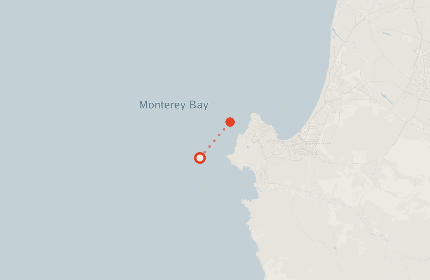 Activity map — real sighting points on an OpenStreetMap basemap