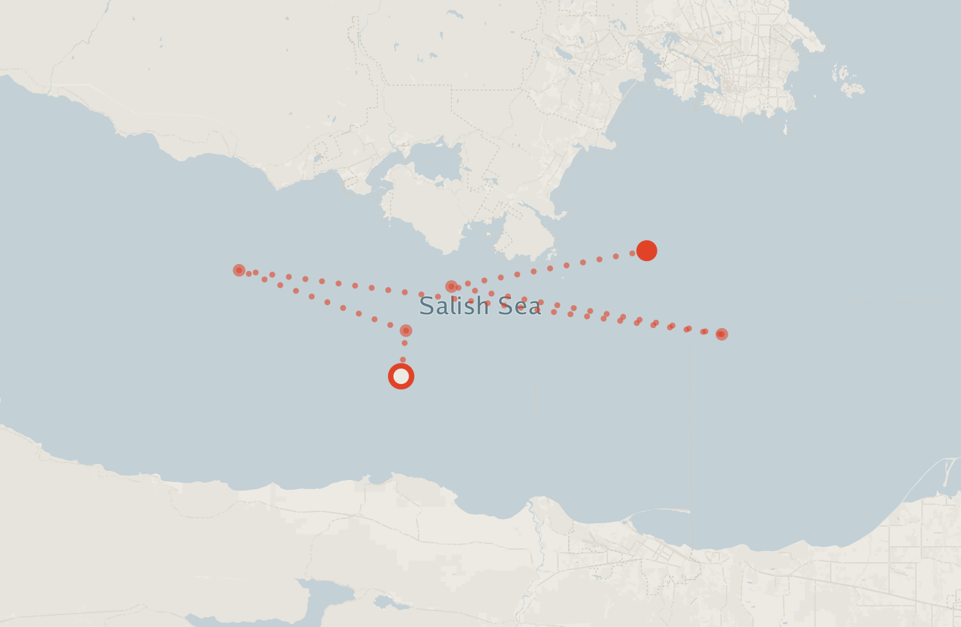Activity map — real sighting points on an OpenStreetMap basemap