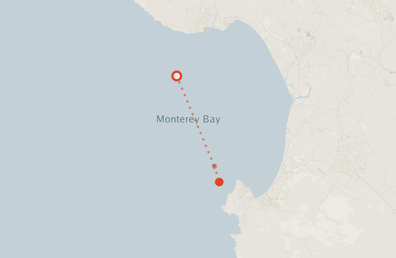 Activity map — real sighting points on an OpenStreetMap basemap