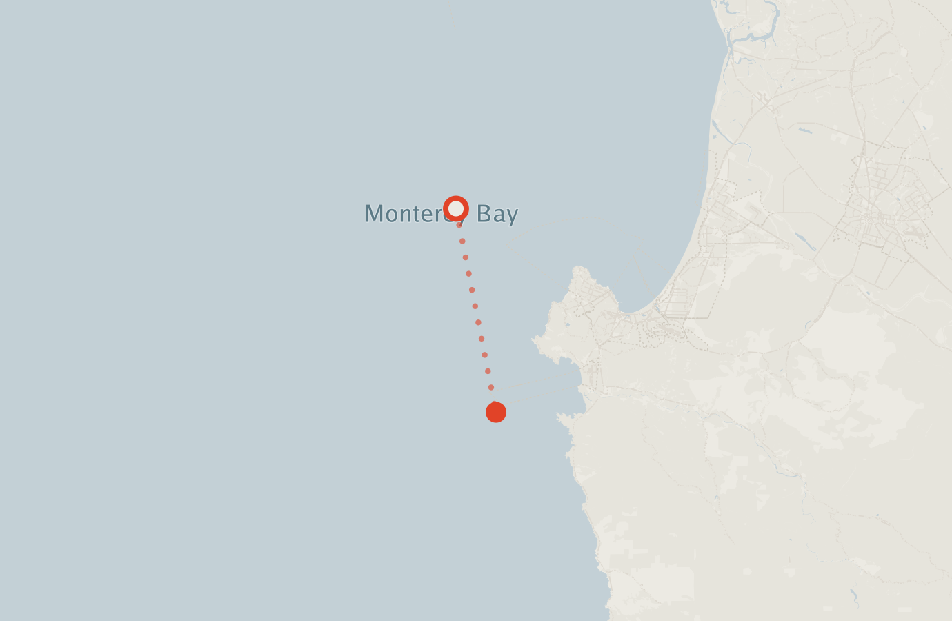 Activity map — real sighting points on an OpenStreetMap basemap