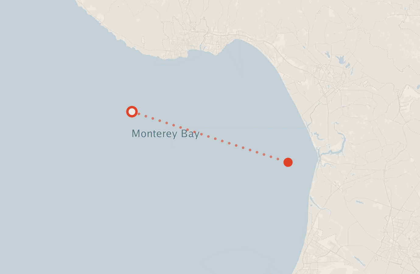 Activity map — real sighting points on an OpenStreetMap basemap