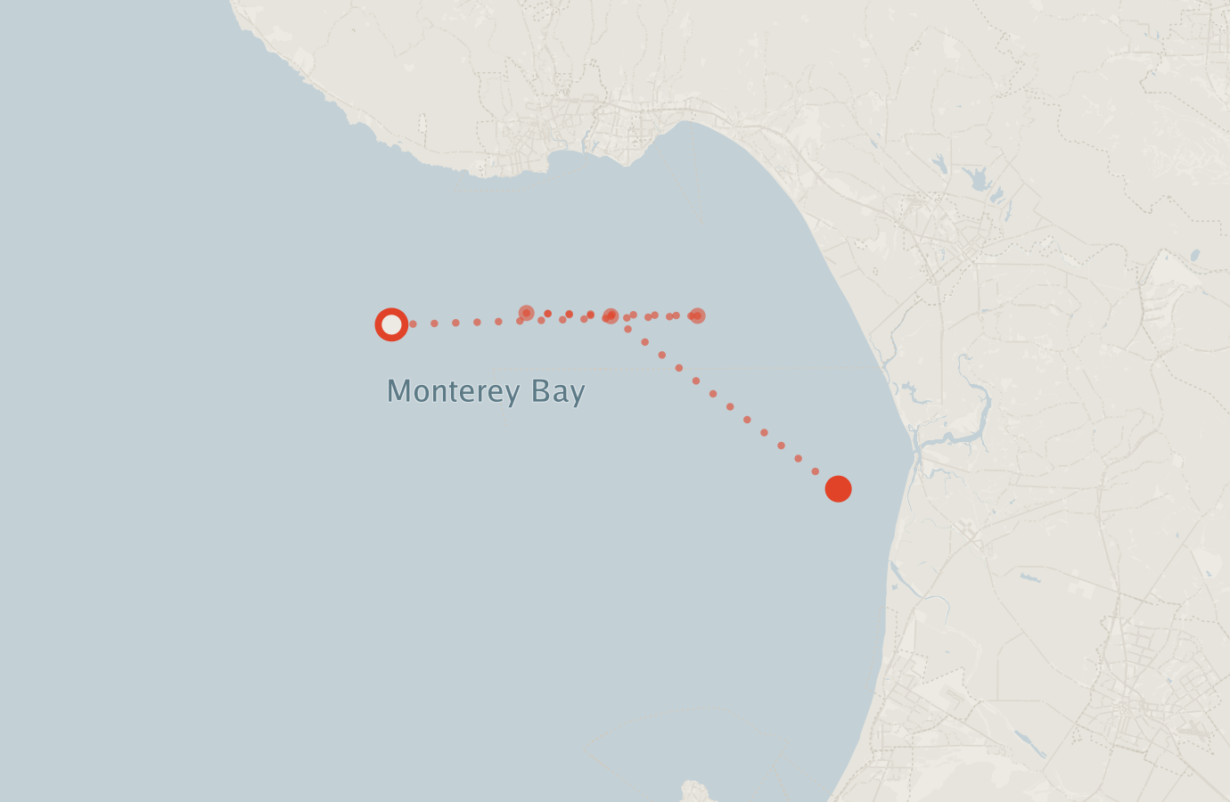Activity map — real sighting points on an OpenStreetMap basemap