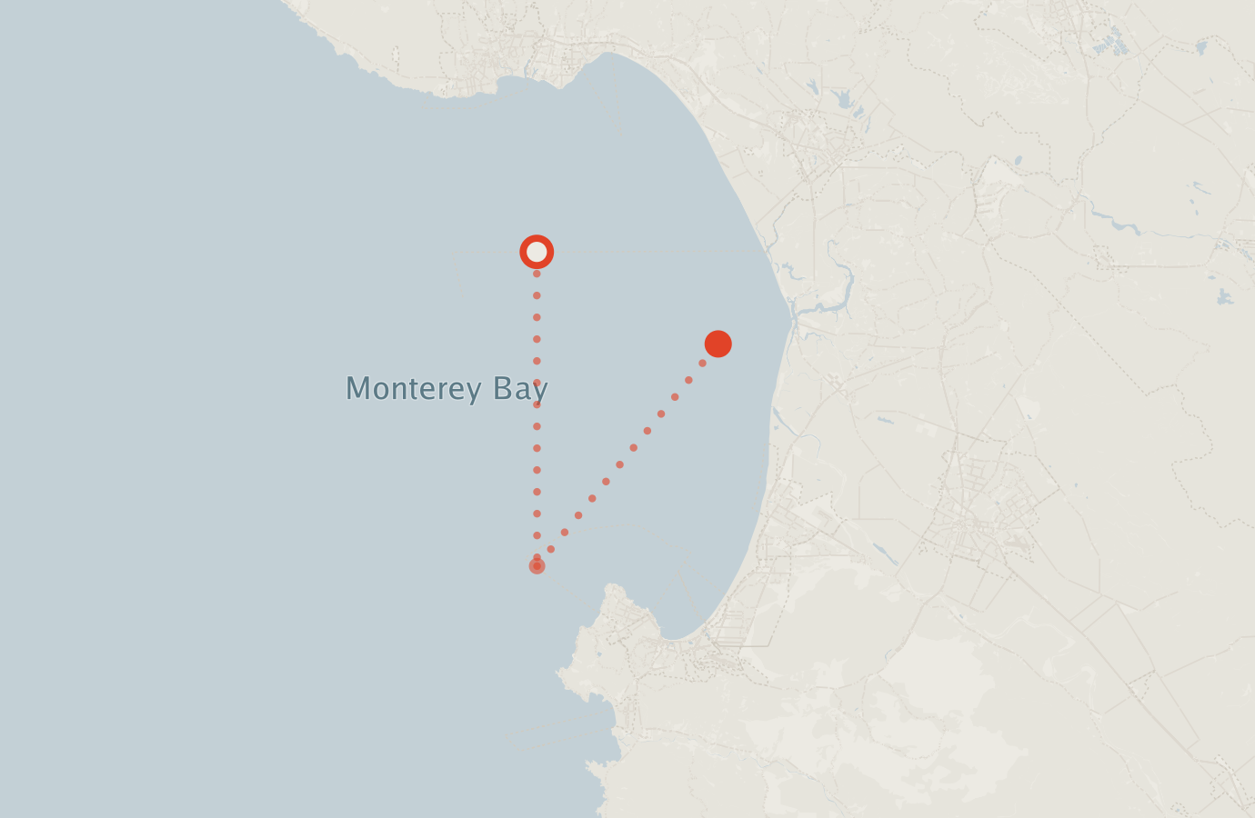 Activity map — real sighting points on an OpenStreetMap basemap
