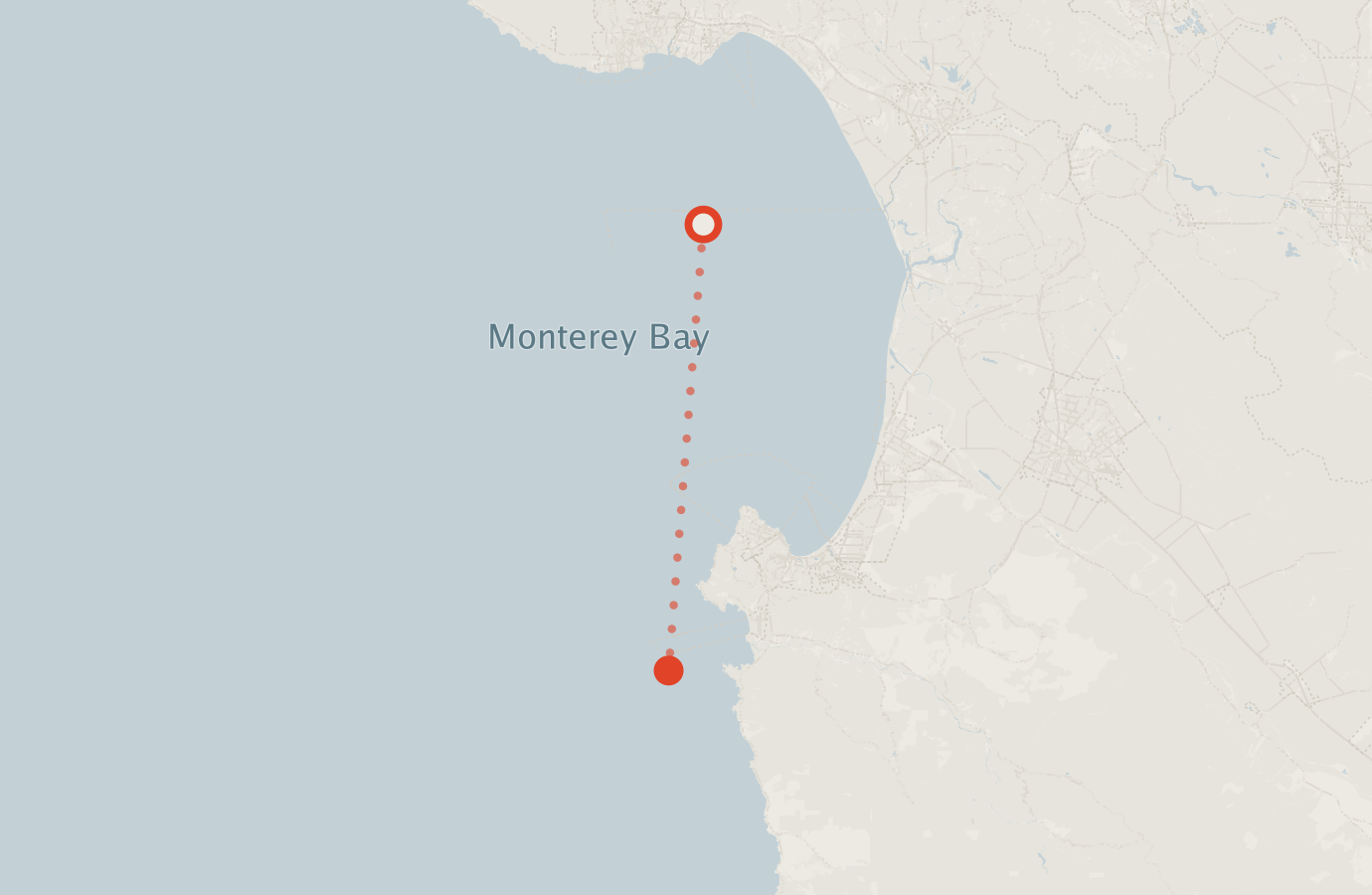 Activity map — real sighting points on an OpenStreetMap basemap