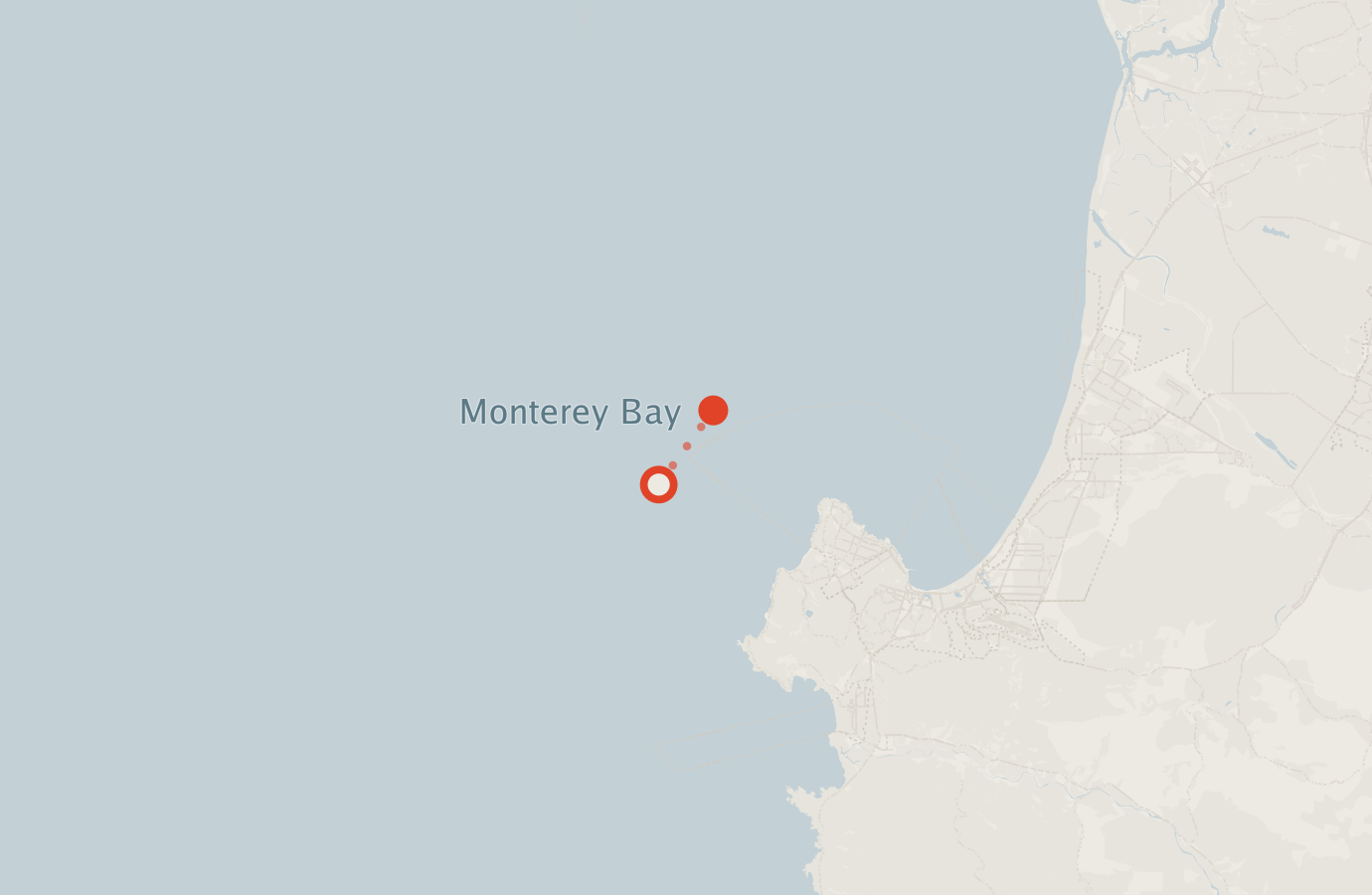 Activity map — real sighting points on an OpenStreetMap basemap