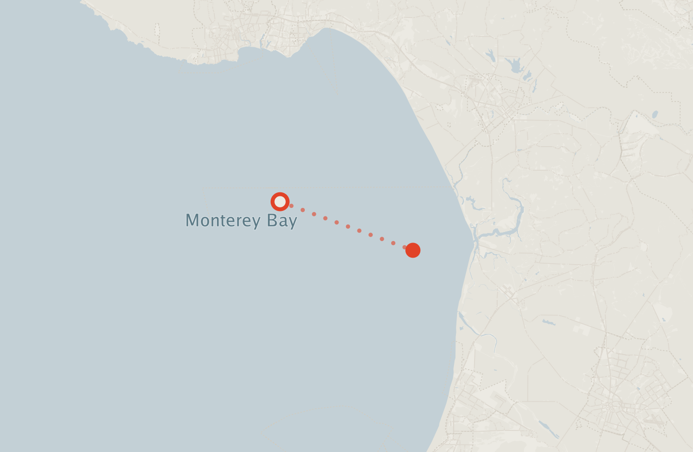 Activity map — real sighting points on an OpenStreetMap basemap