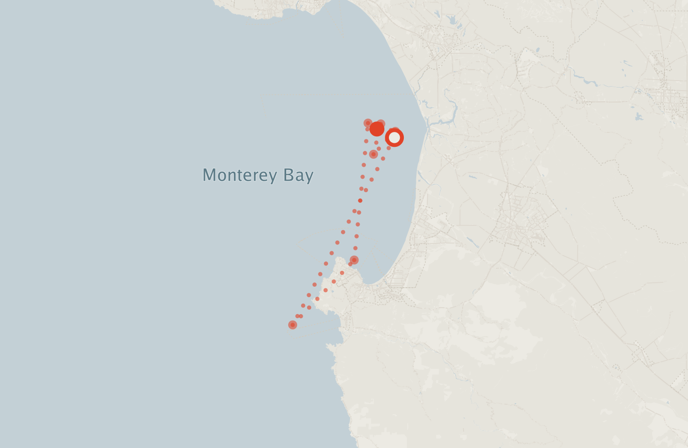 Activity map — real sighting points on an OpenStreetMap basemap