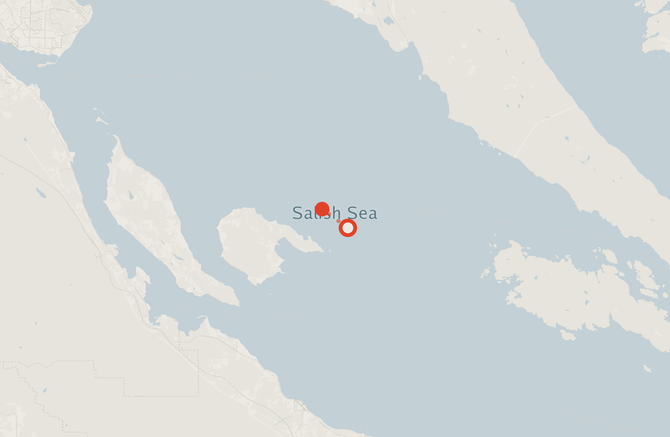 Activity map — real sighting points on an OpenStreetMap basemap