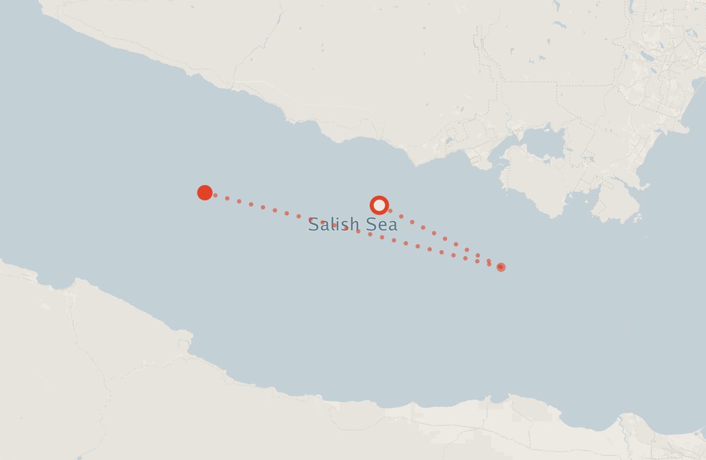 Activity map — real sighting points on an OpenStreetMap basemap