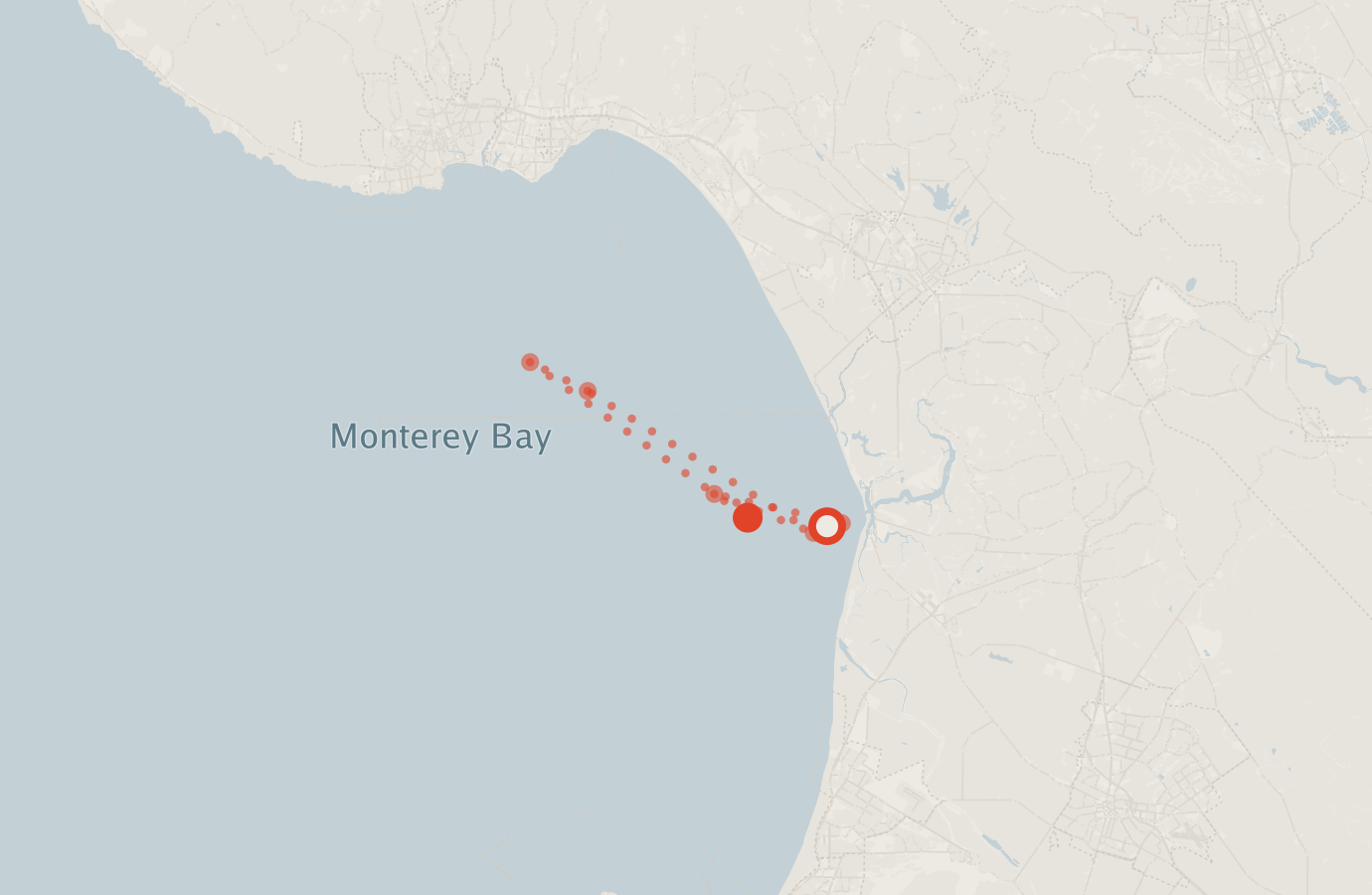 Activity map — real sighting points on an OpenStreetMap basemap