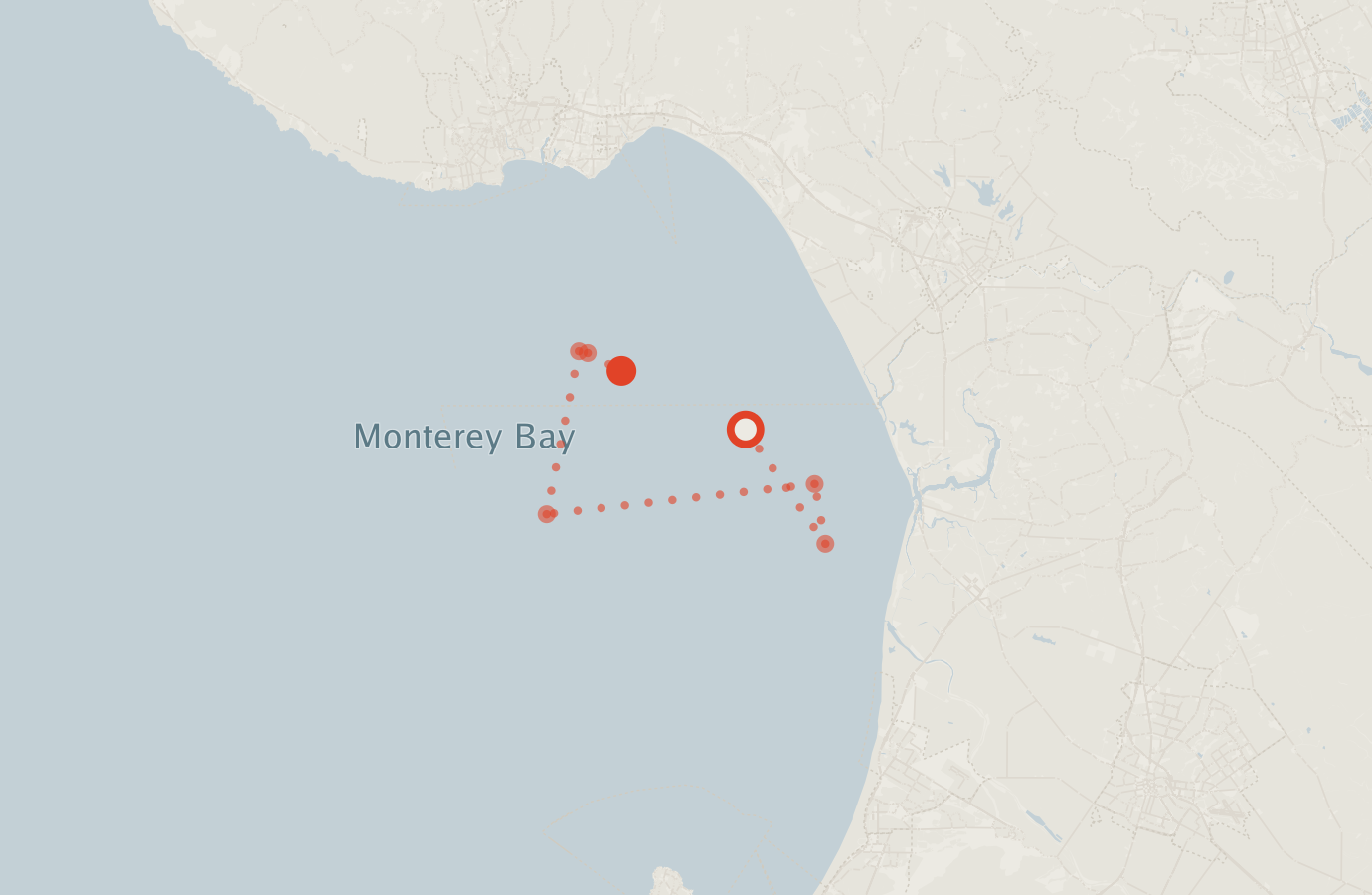 Activity map — real sighting points on an OpenStreetMap basemap