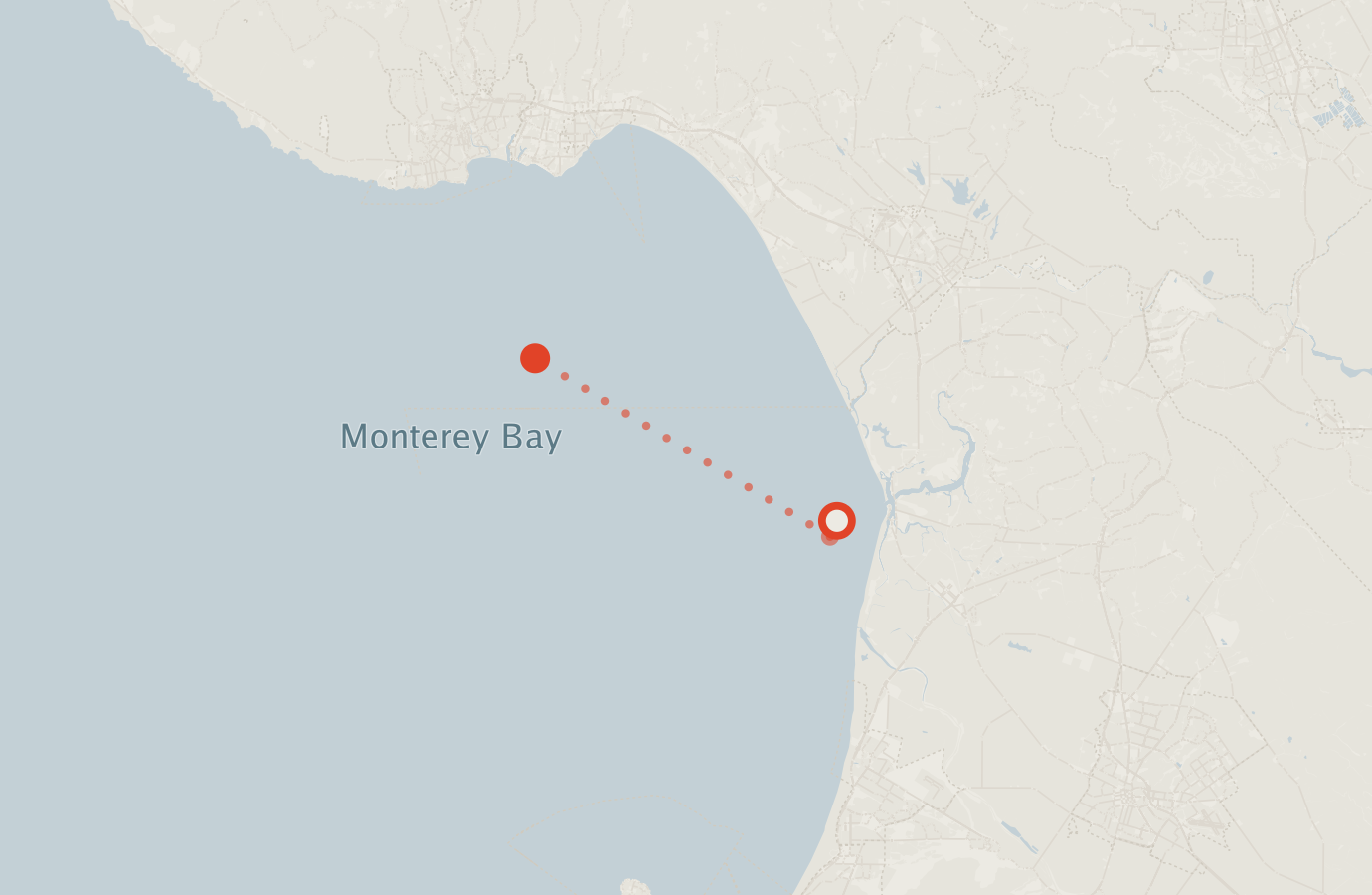 Activity map — real sighting points on an OpenStreetMap basemap