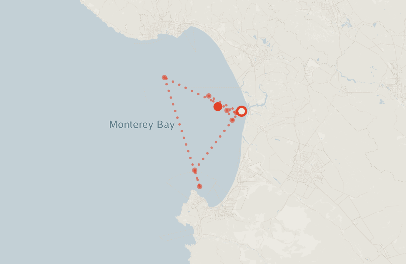 Activity map — real sighting points on an OpenStreetMap basemap