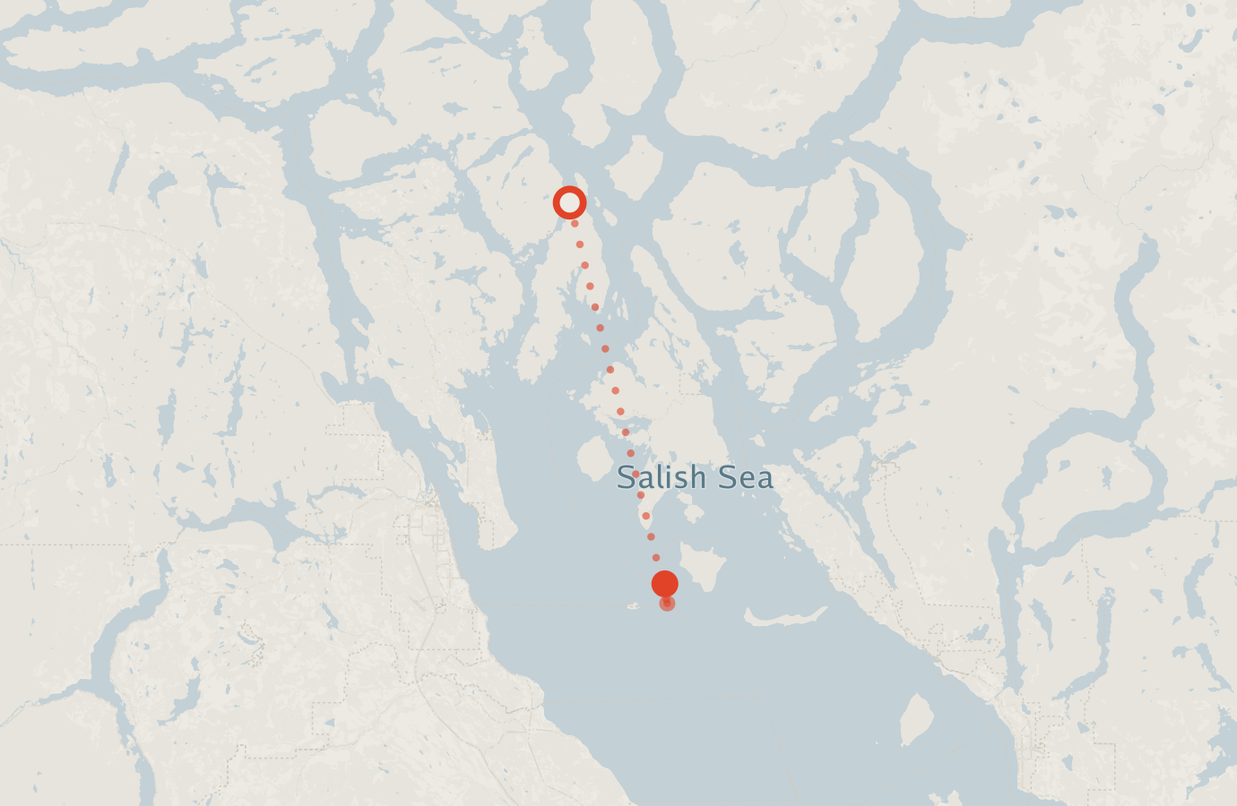 Activity map — real sighting points on an OpenStreetMap basemap