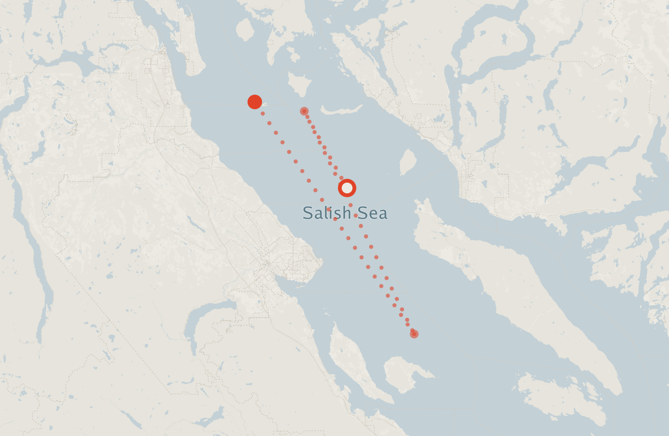 Activity map — real sighting points on an OpenStreetMap basemap