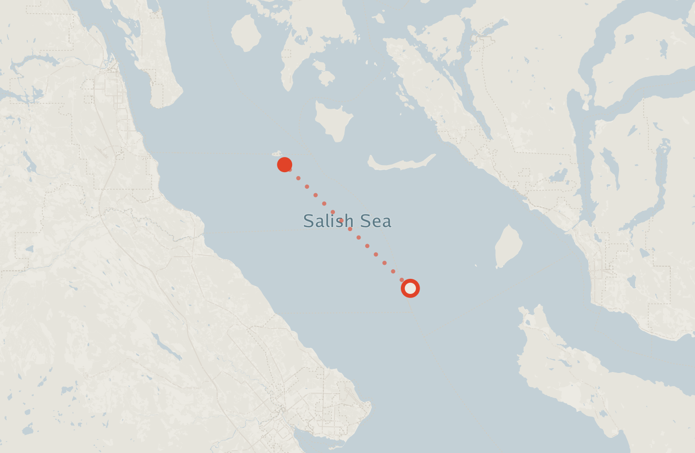 Activity map — real sighting points on an OpenStreetMap basemap