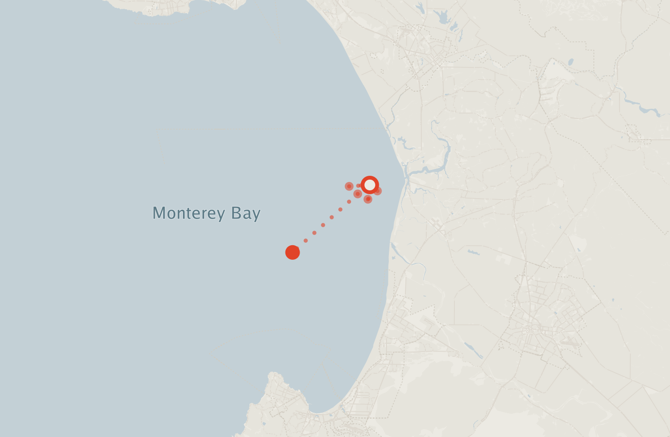 Activity map — real sighting points on an OpenStreetMap basemap