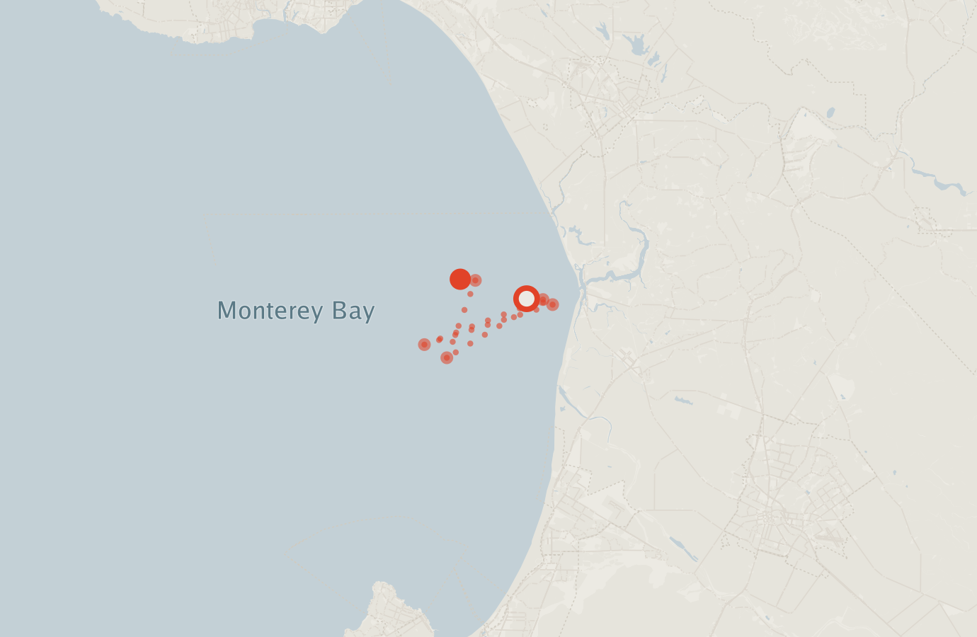 Activity map — real sighting points on an OpenStreetMap basemap