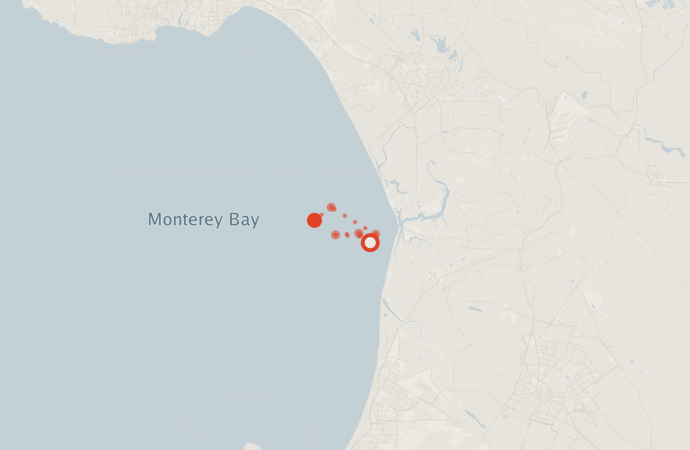 Activity map — real sighting points on an OpenStreetMap basemap