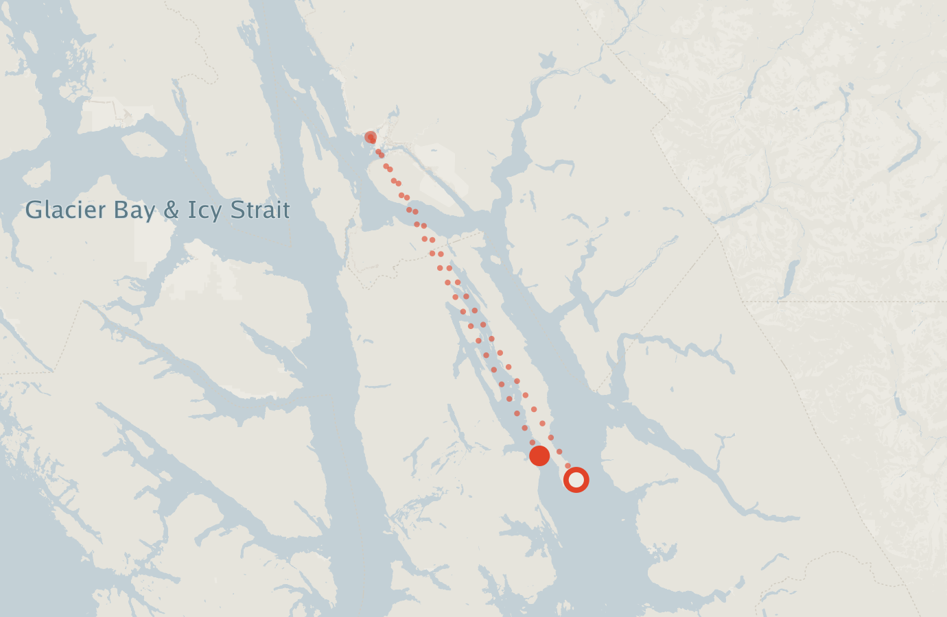 Activity map — real sighting points on an OpenStreetMap basemap