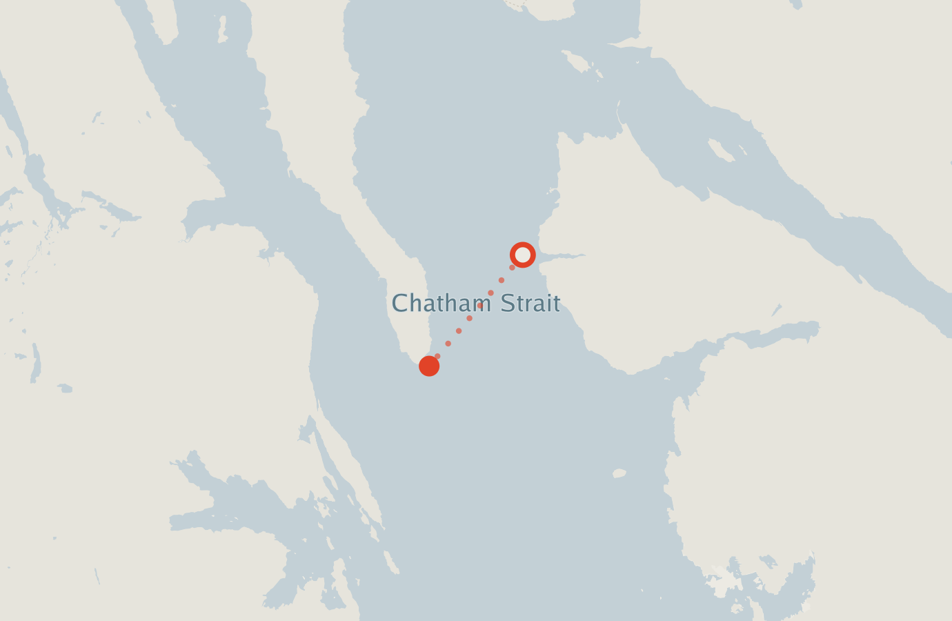 Activity map — real sighting points on an OpenStreetMap basemap