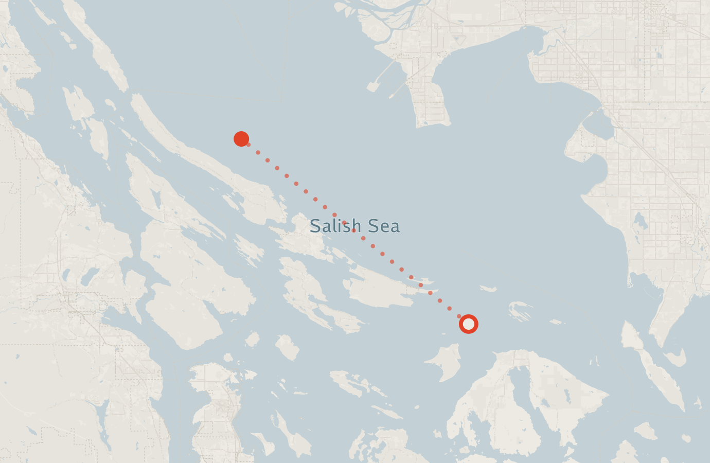 Activity map — real sighting points on an OpenStreetMap basemap