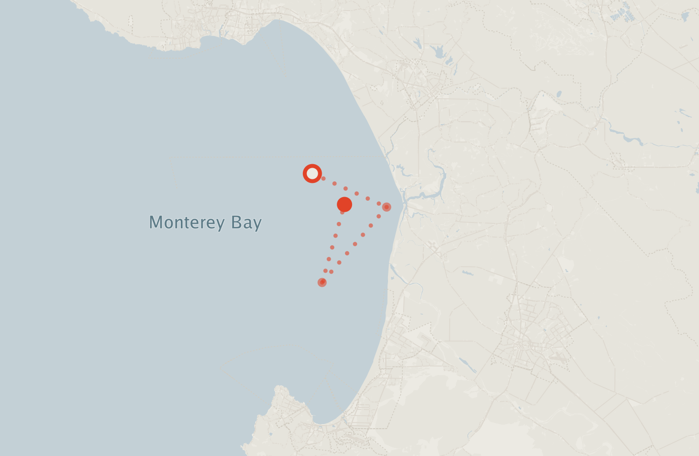 Activity map — real sighting points on an OpenStreetMap basemap