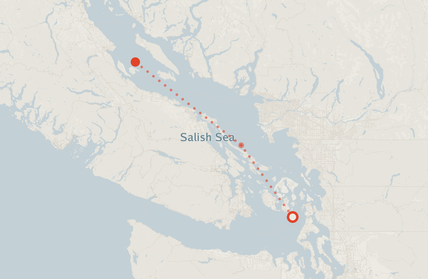 Activity map — real sighting points on an OpenStreetMap basemap
